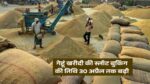 Singrauli News