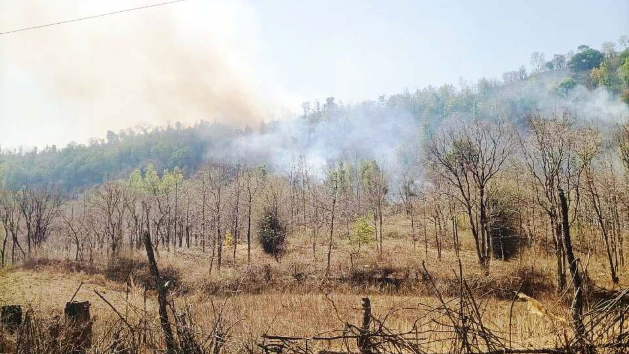 Singrauli News