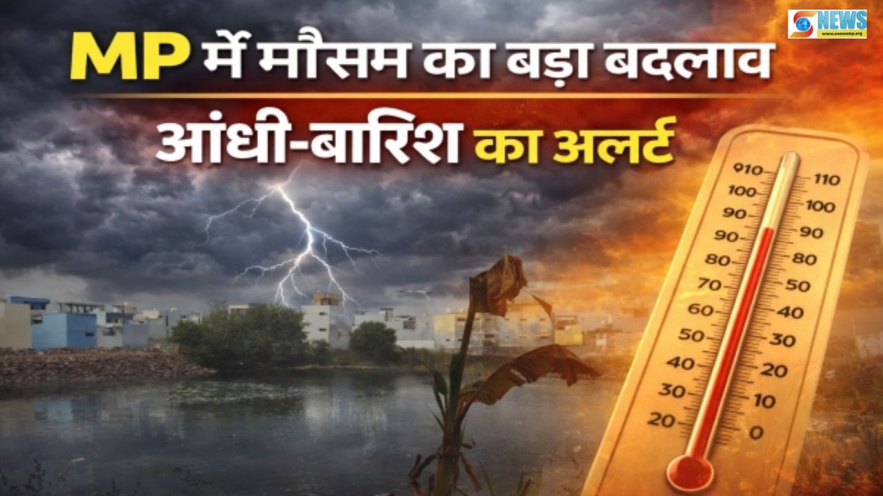 MP Weather News