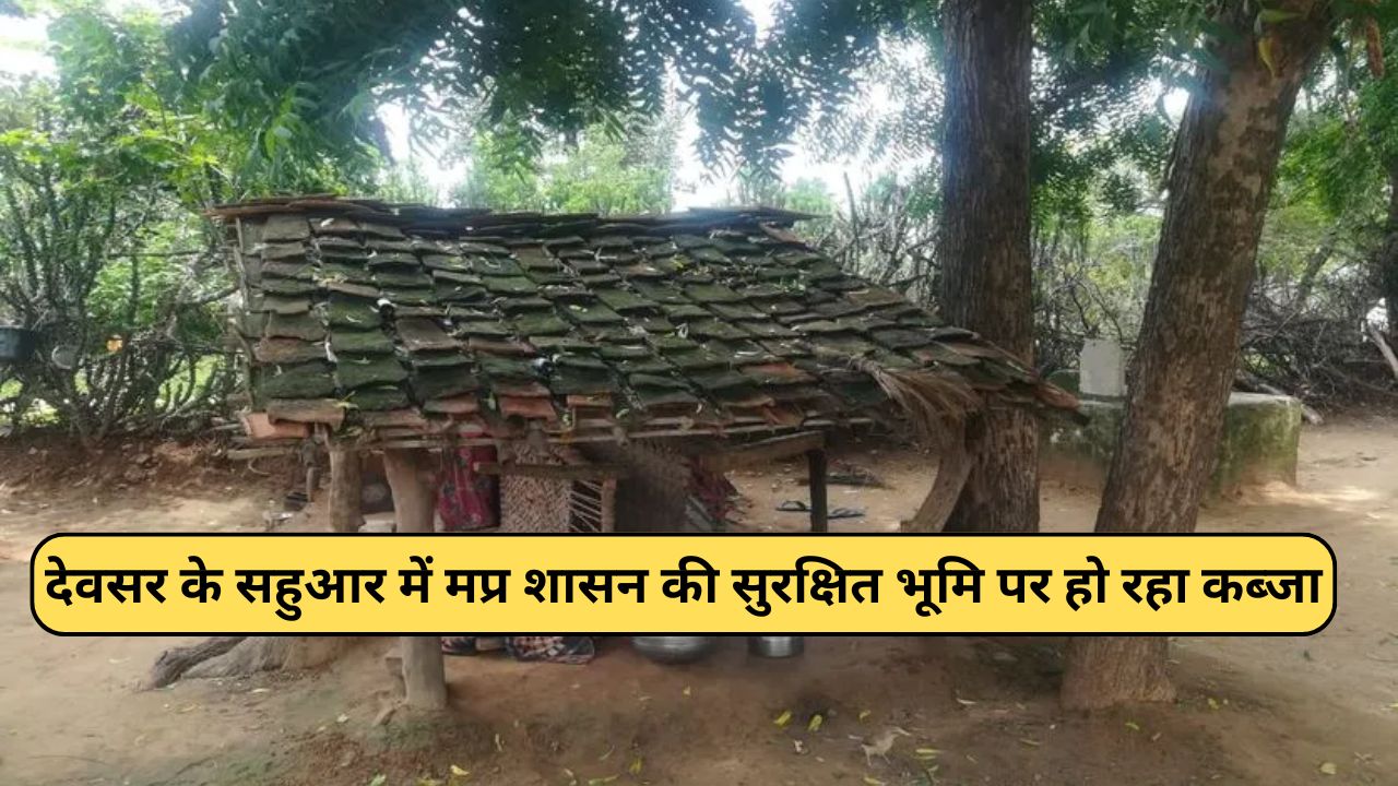 Singrauli Devsar News