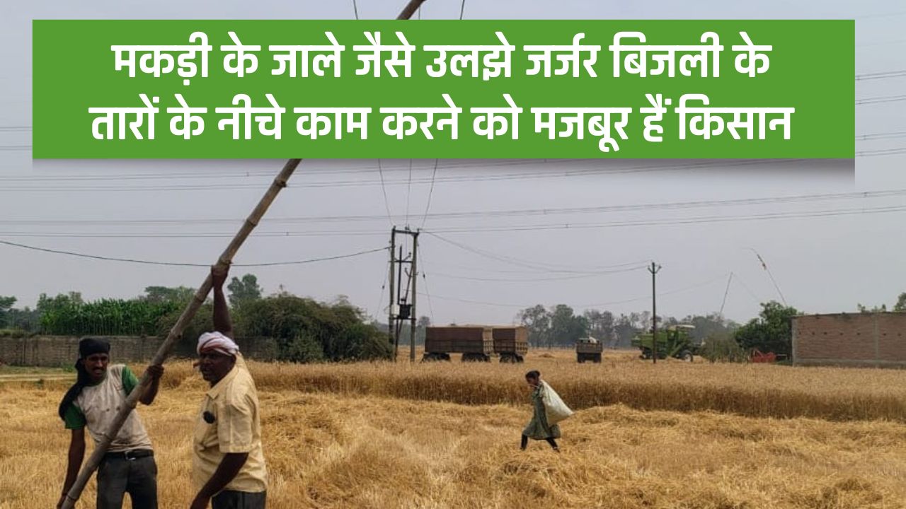 Singrauli Waidhan News