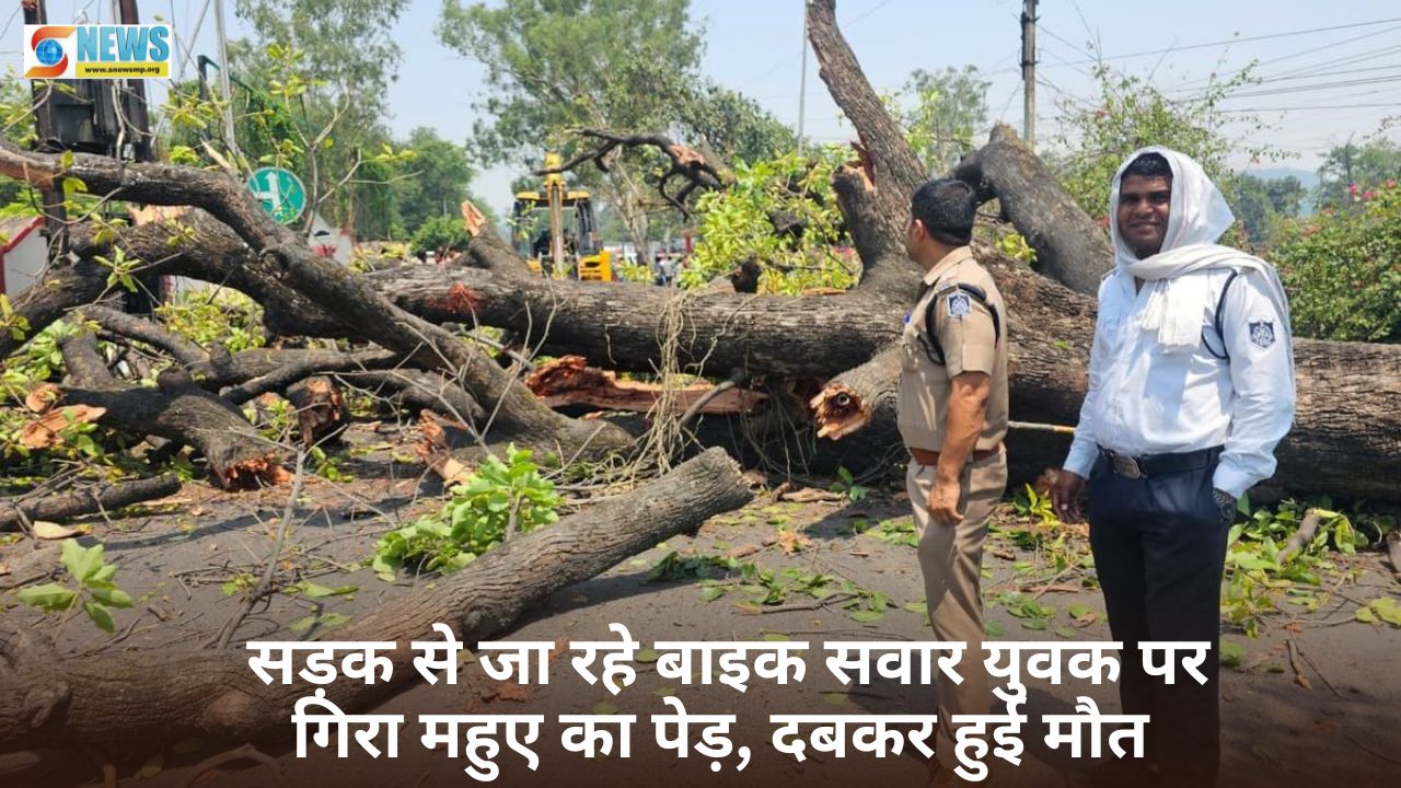 Singrauli News