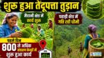 Singrauli News