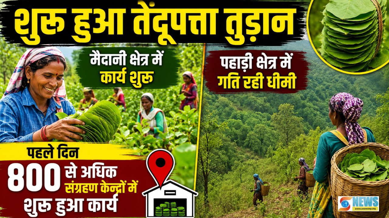 Singrauli News