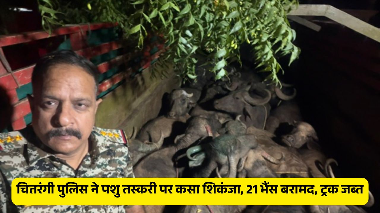 Singrauli News