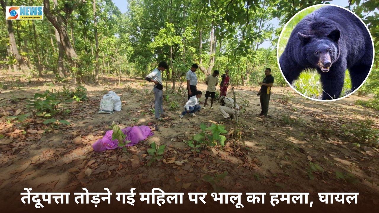 Singrauli News