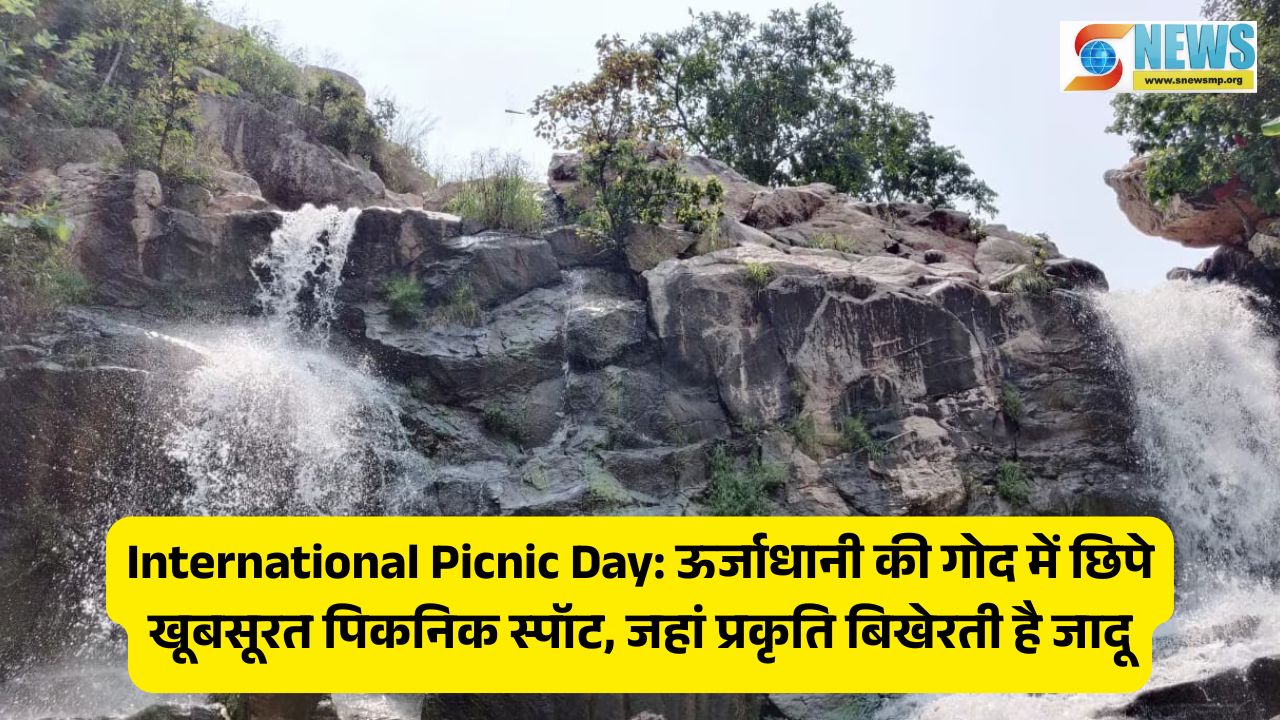 International Picnic Day