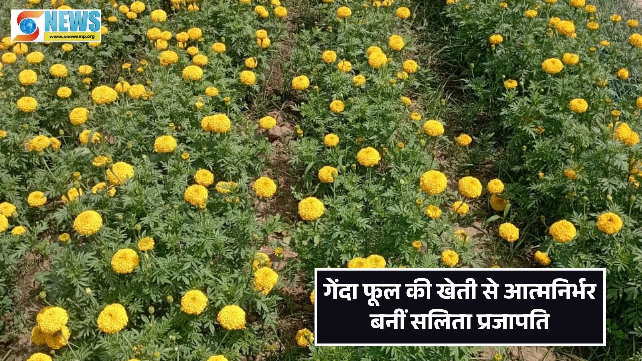 Singrauli News