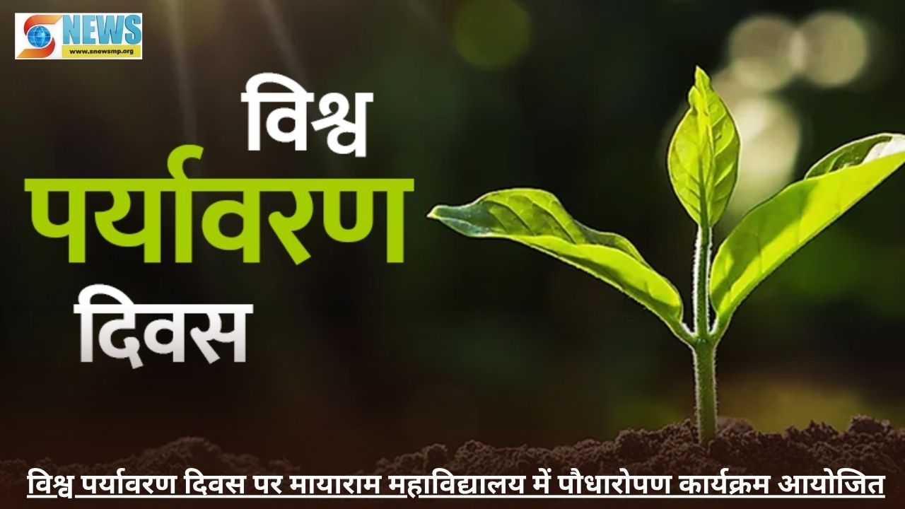Singrauli News