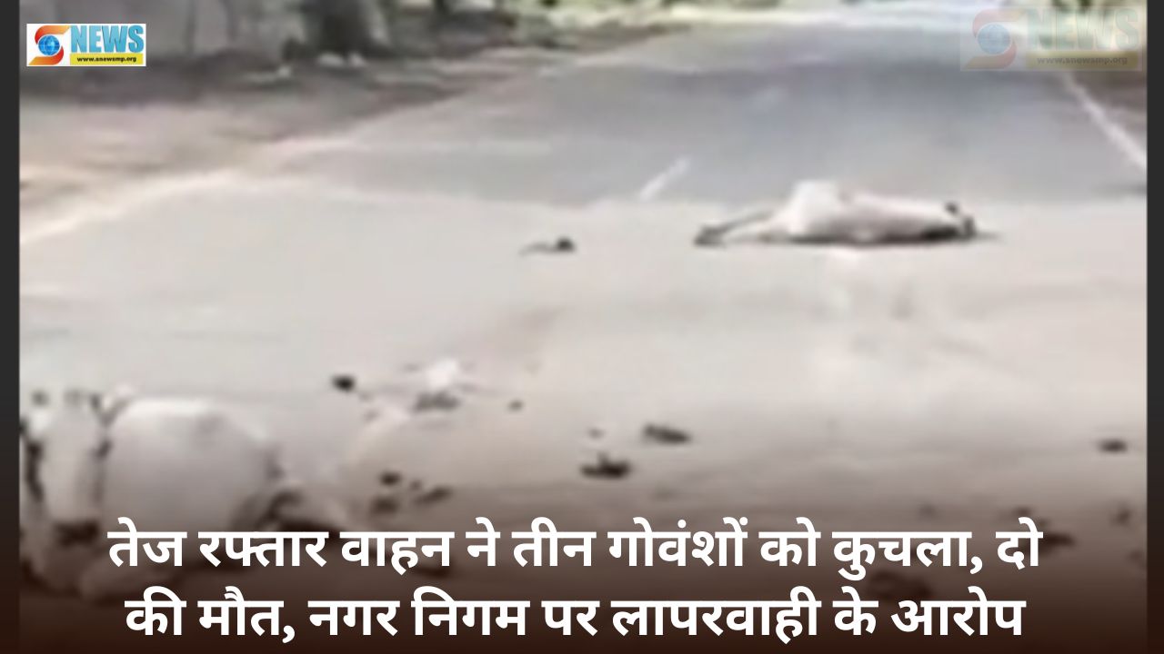 Singrauli News
