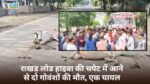 Singrauli News