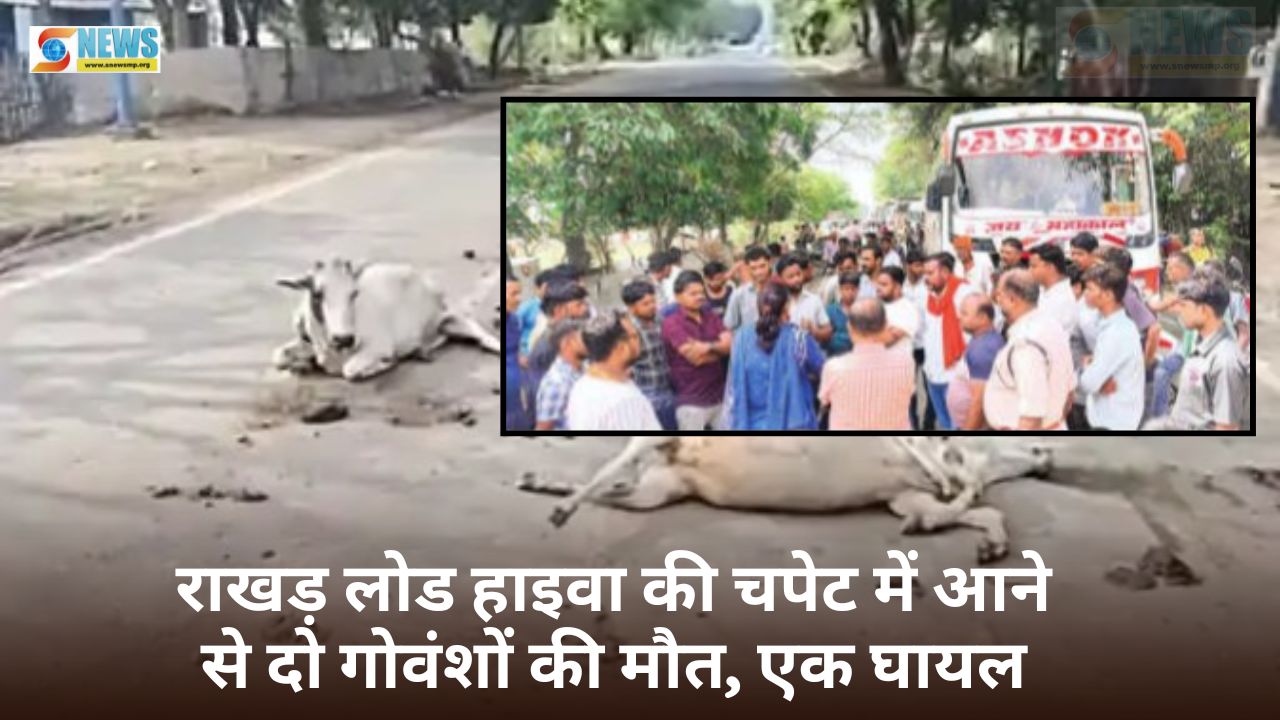 Singrauli News
